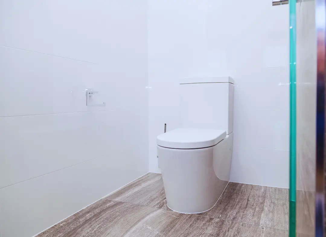 Remplacement de wc Publier