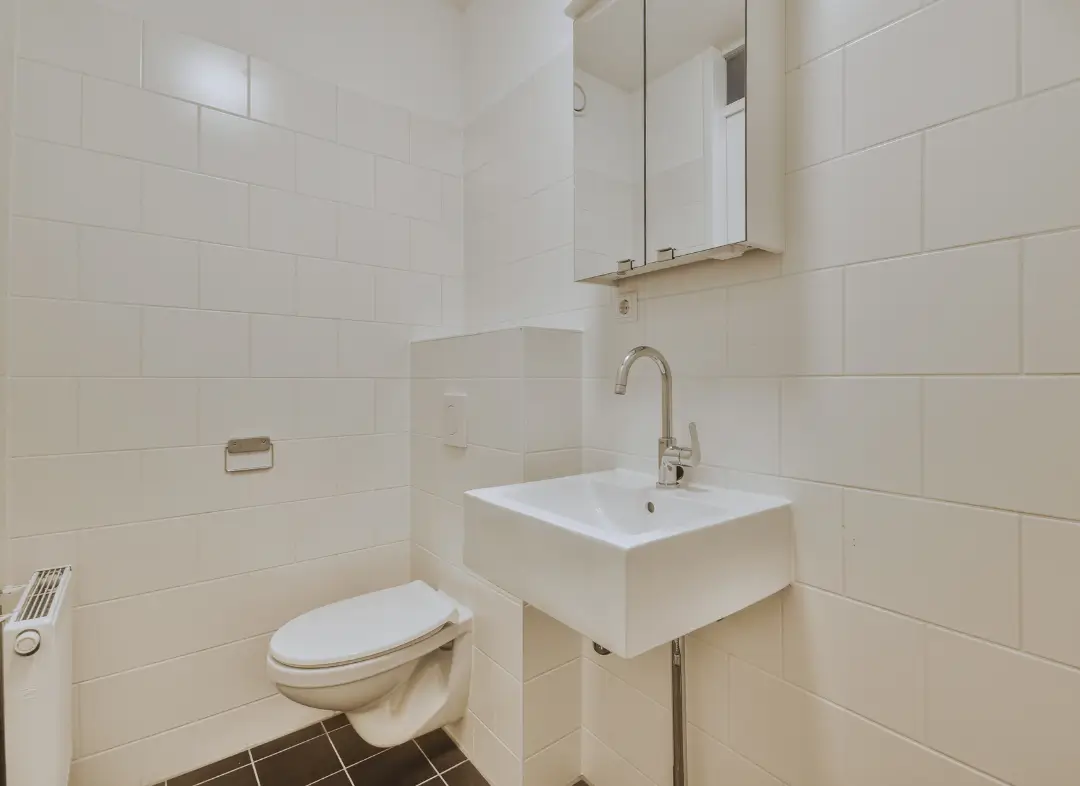 Pose WC Suspendu Publier